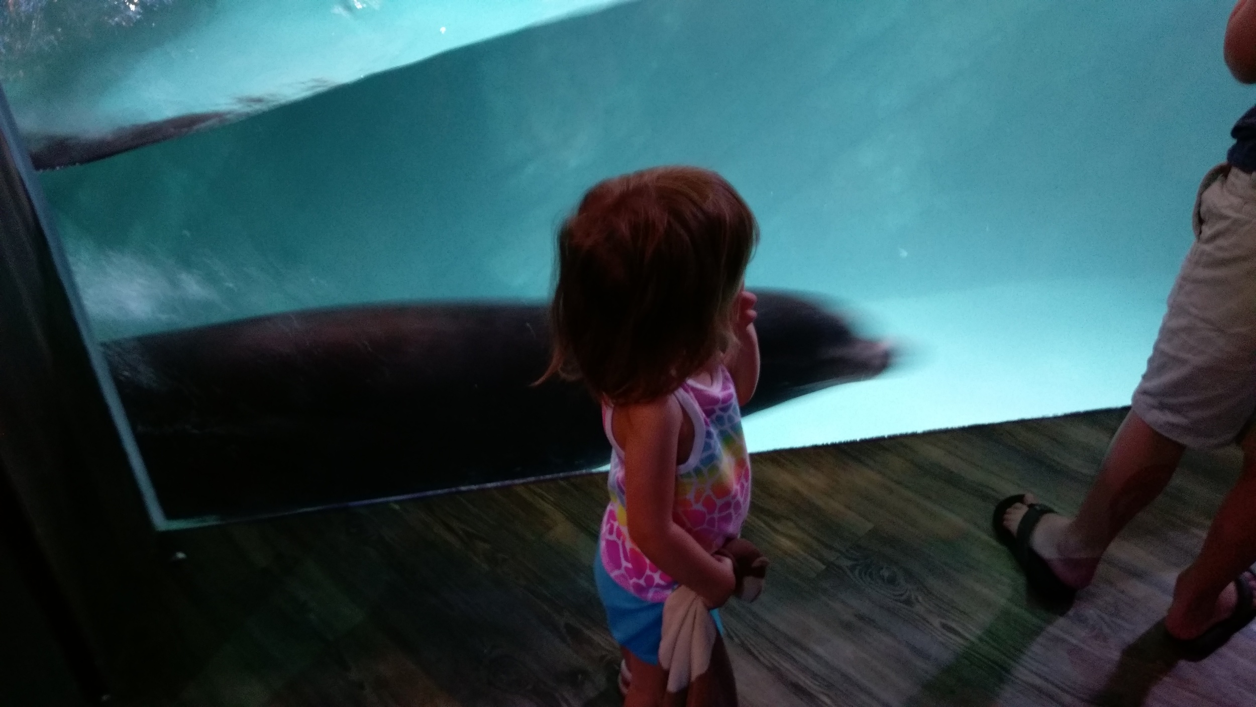 Cece and the sea lion