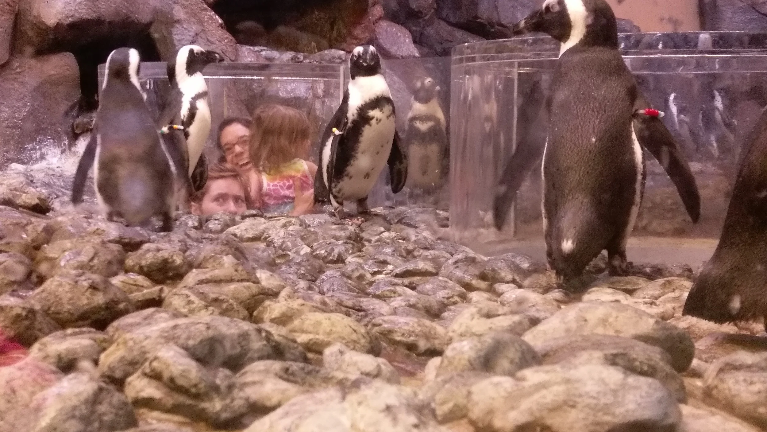 How did you get in there?