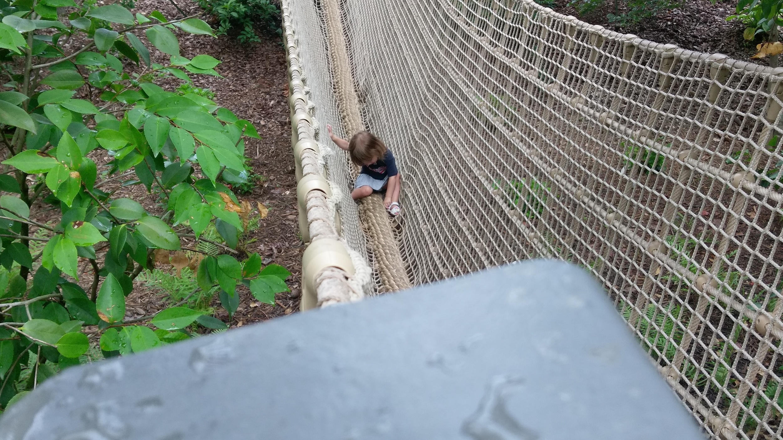 Cece on the rope bridge