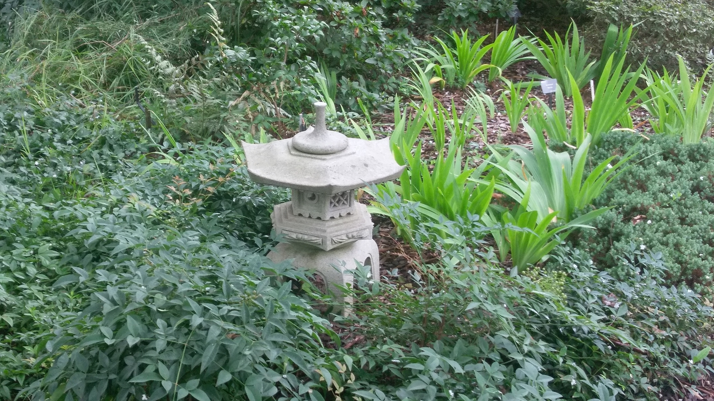 IMAG1035.jpg