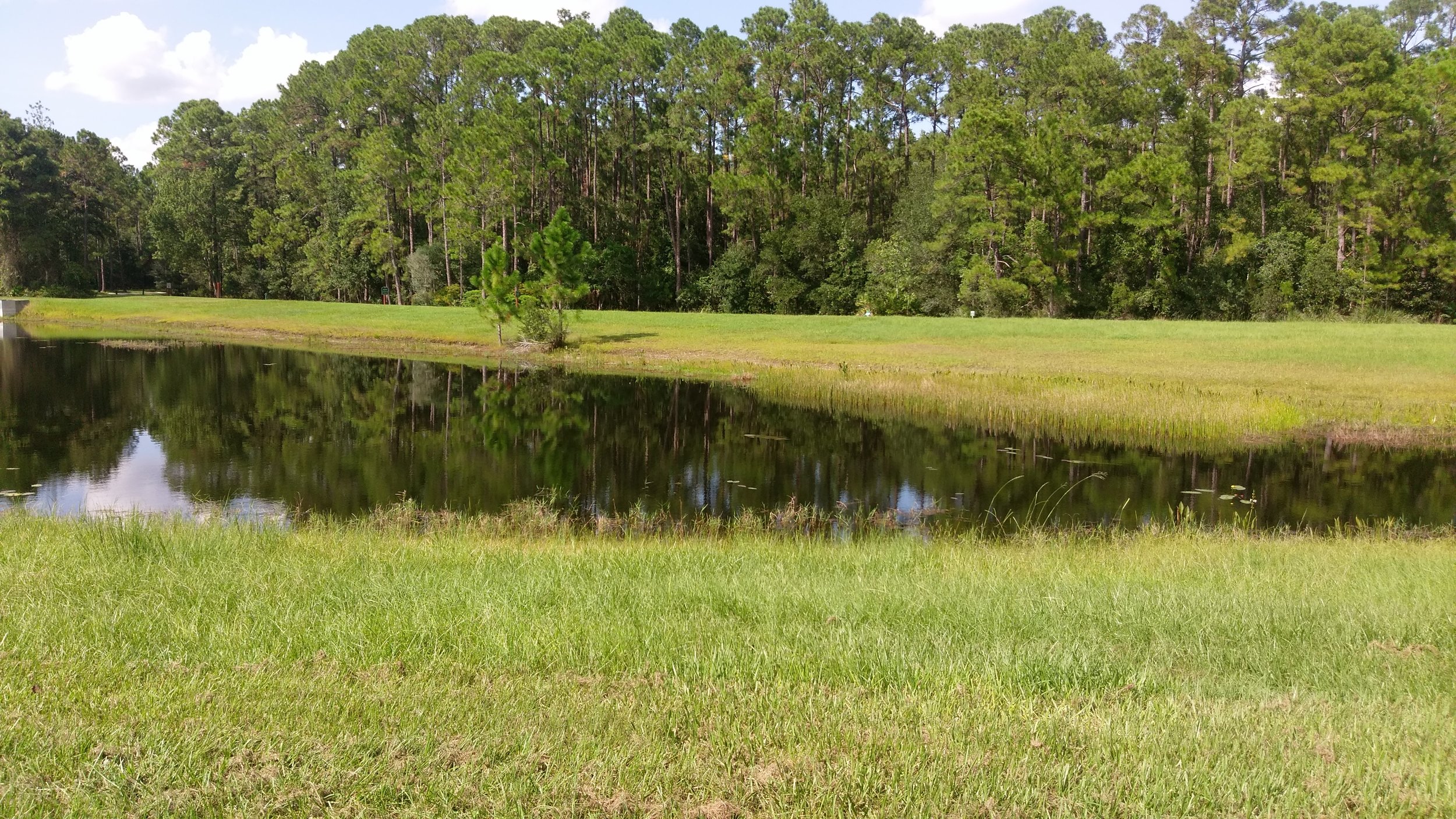 View from a jog