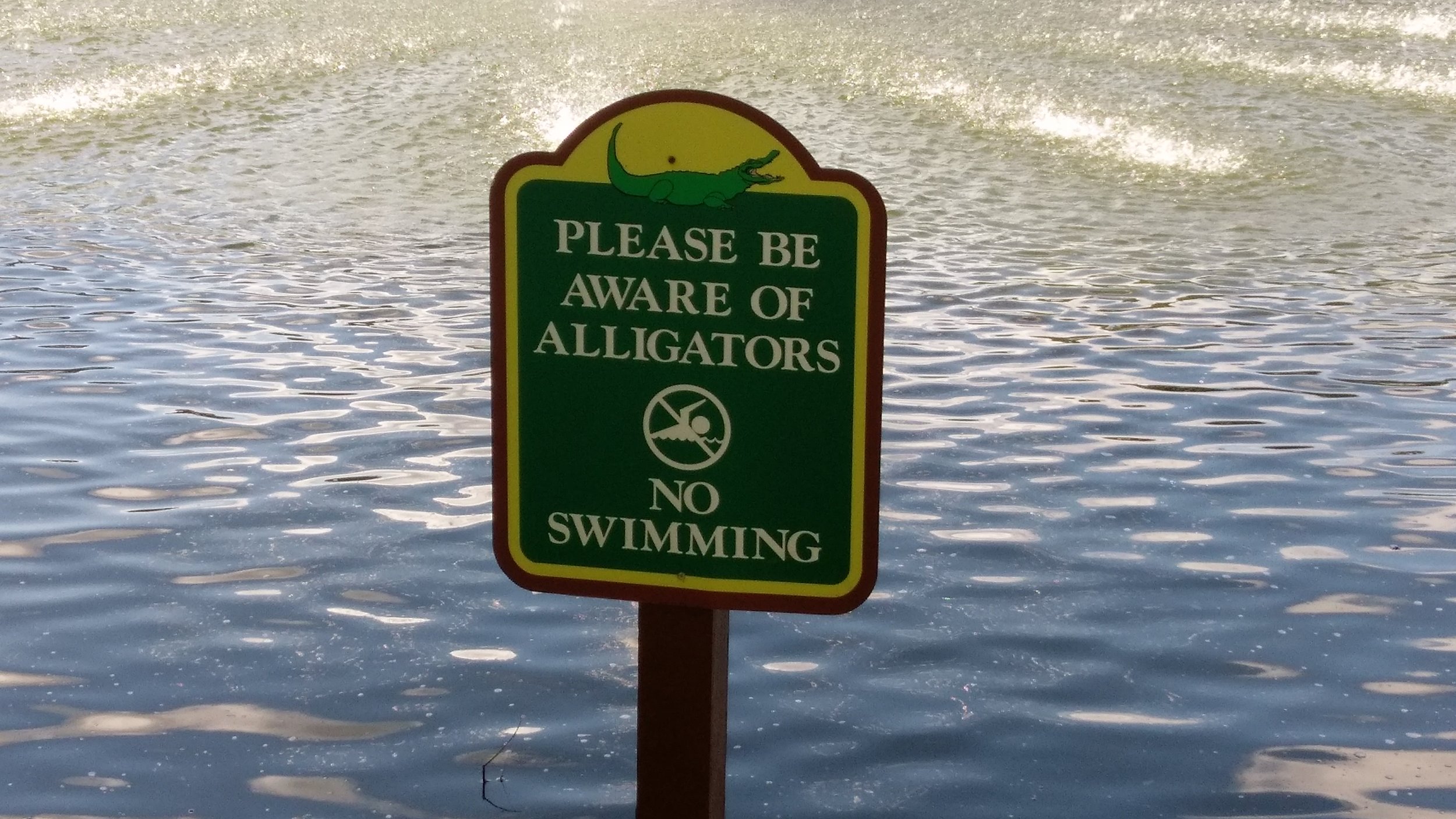 Don't go swimming
