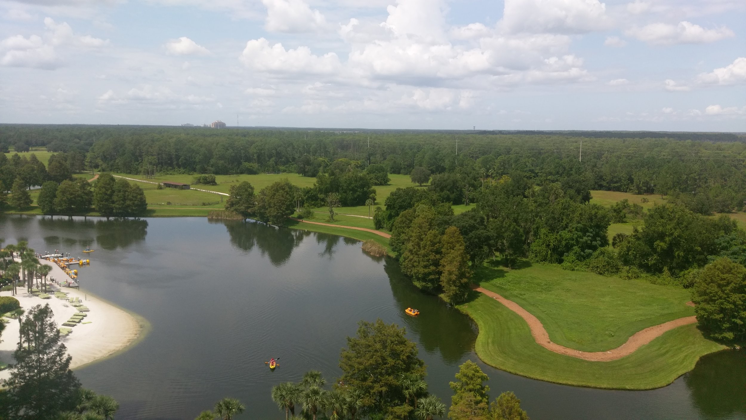 View from the room