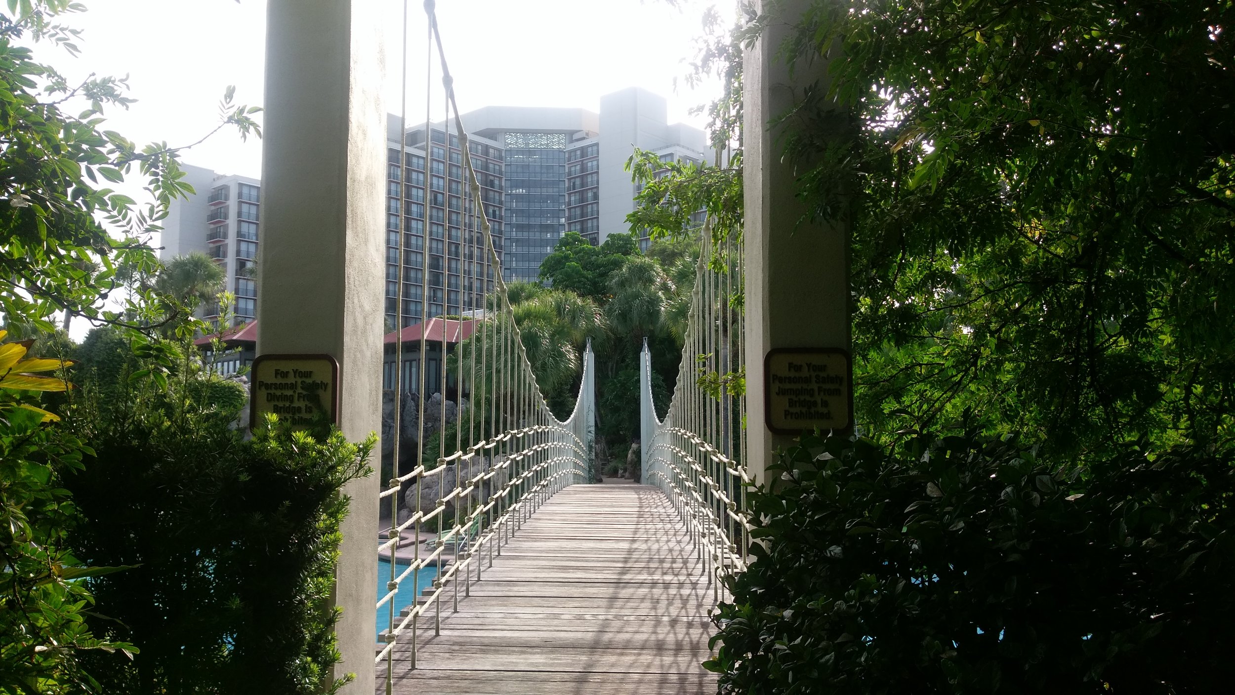 Bridge over the pool