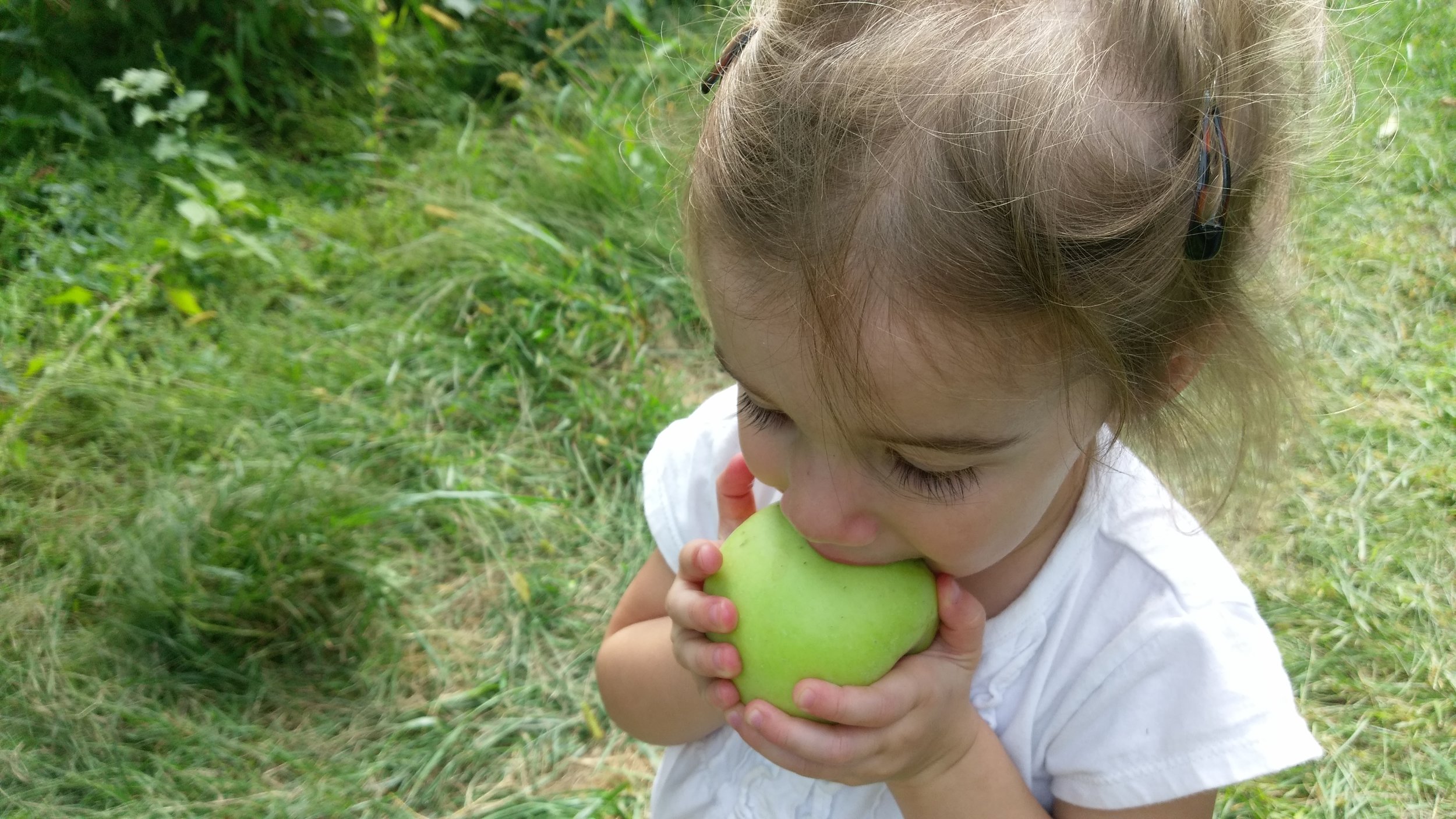 Apples!!!!
