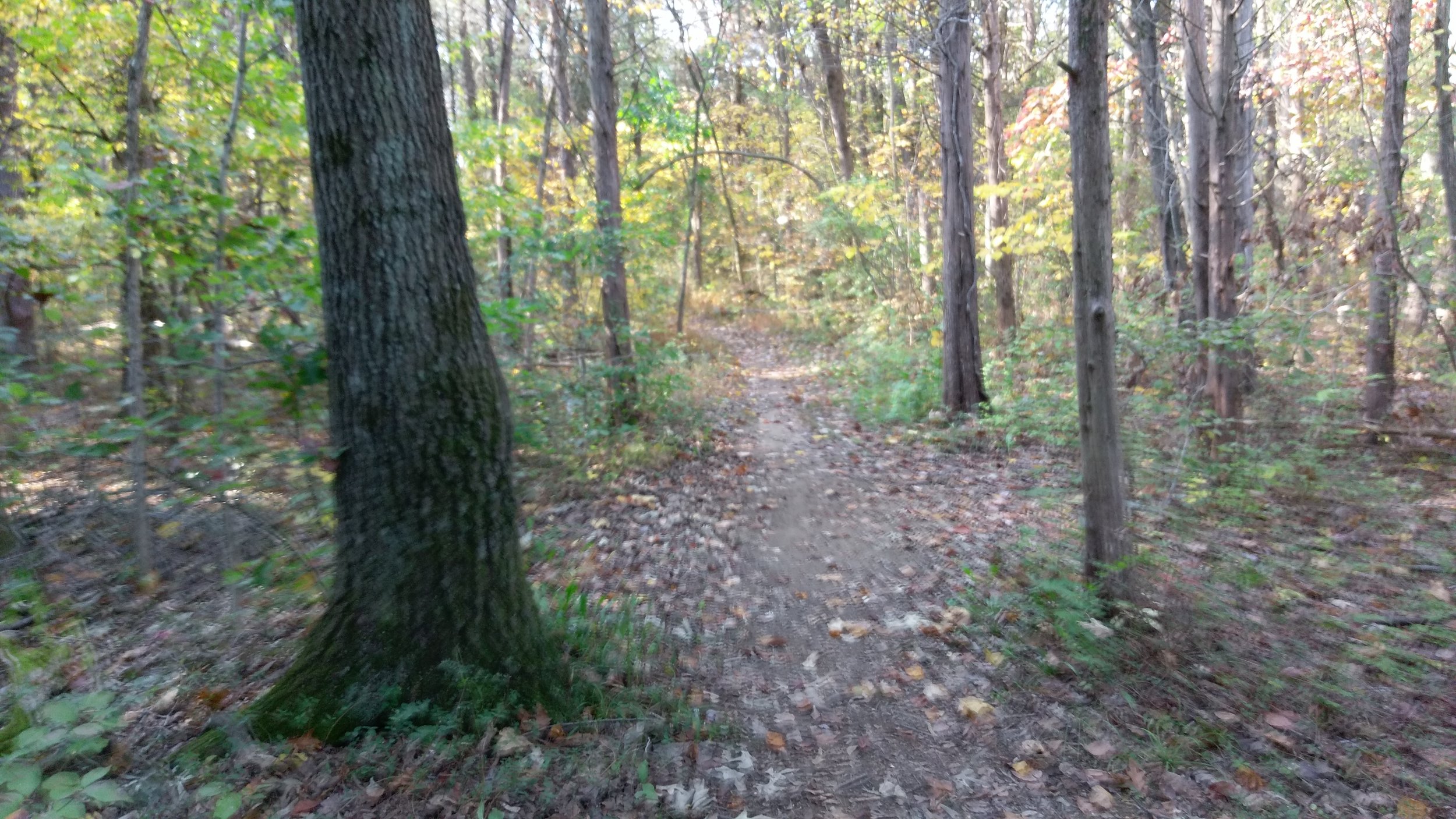 My office on Friday