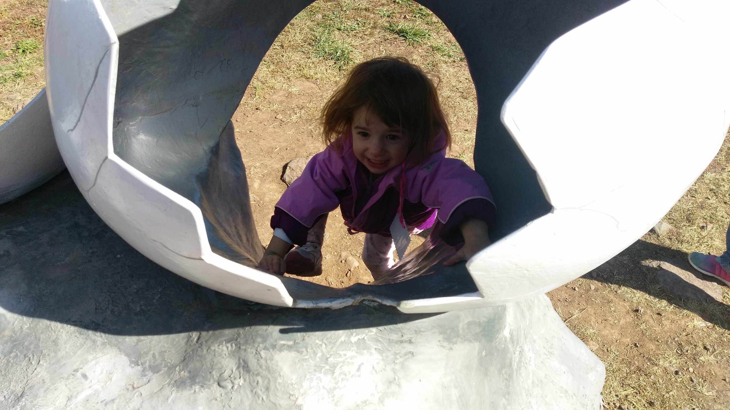 Fieldtrip egg climb