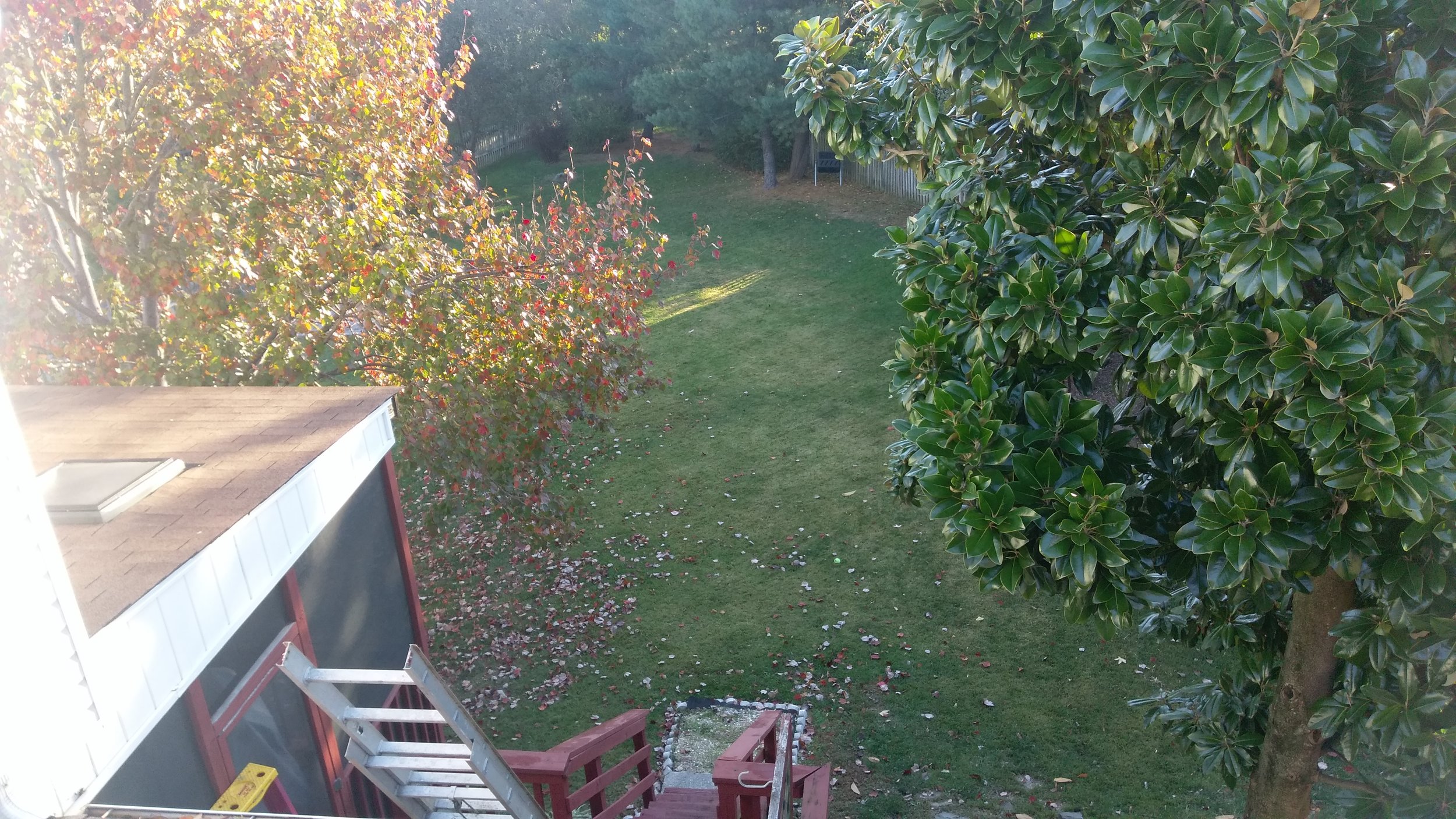 View from the roof of the house
