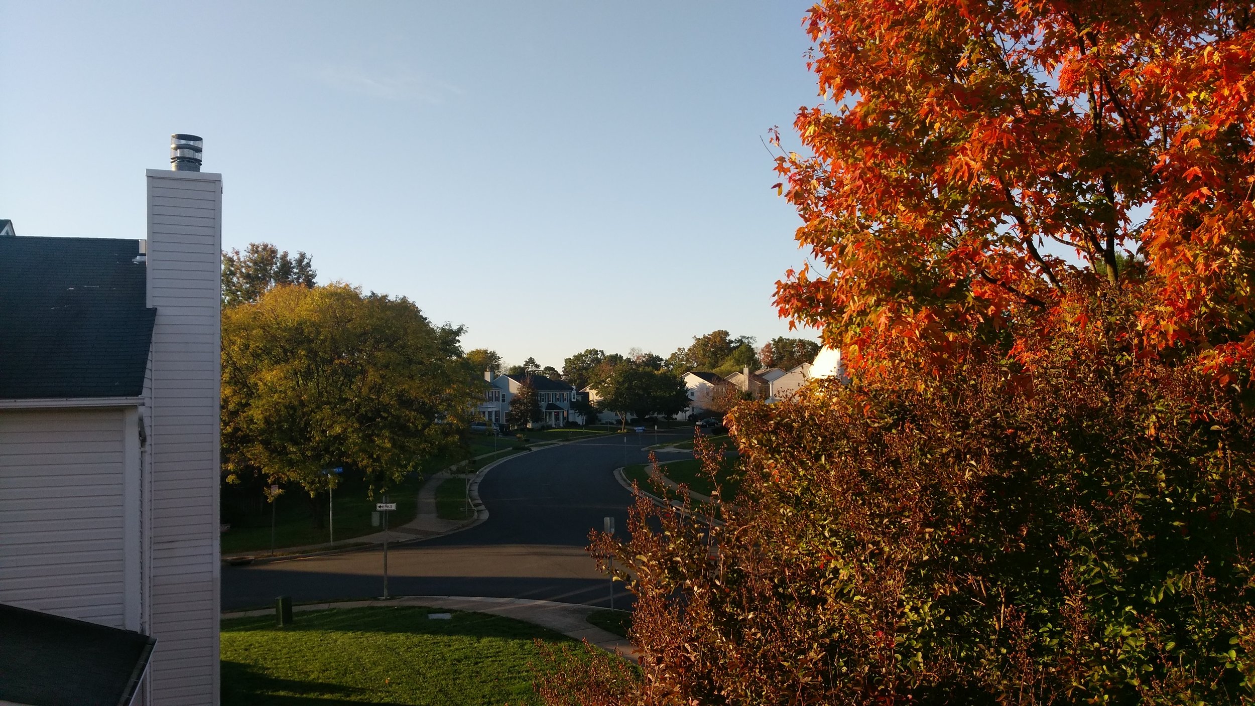 More roof shots