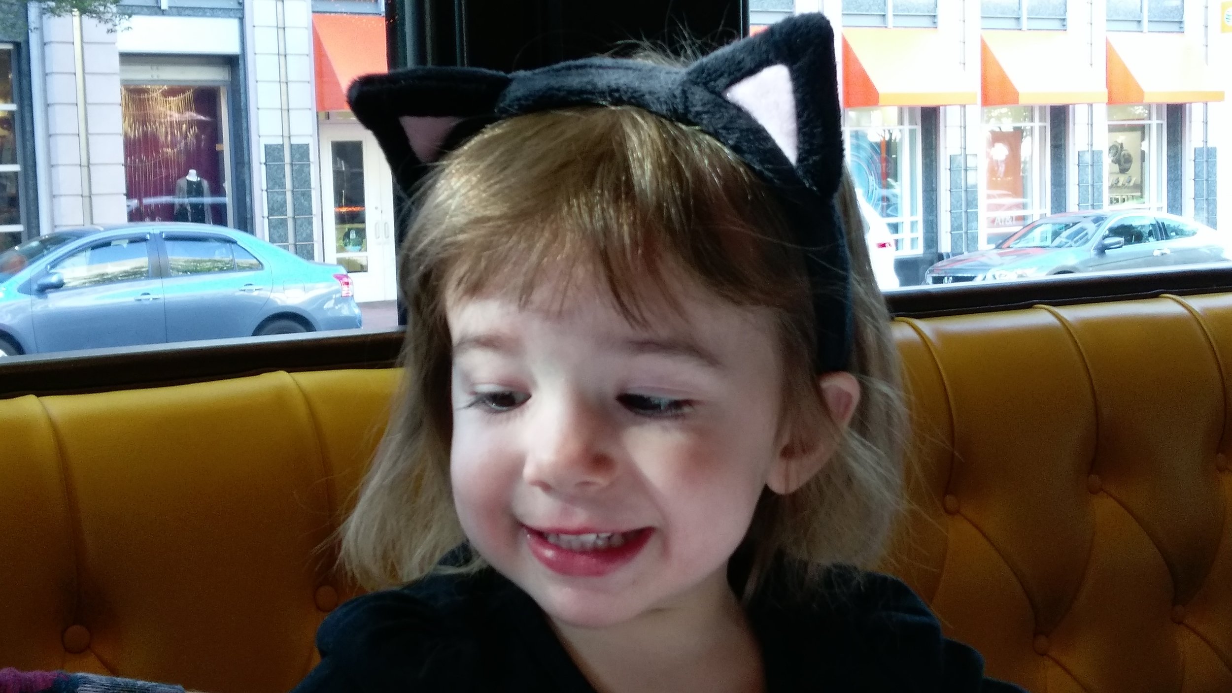 Halloween Kitty Cat
