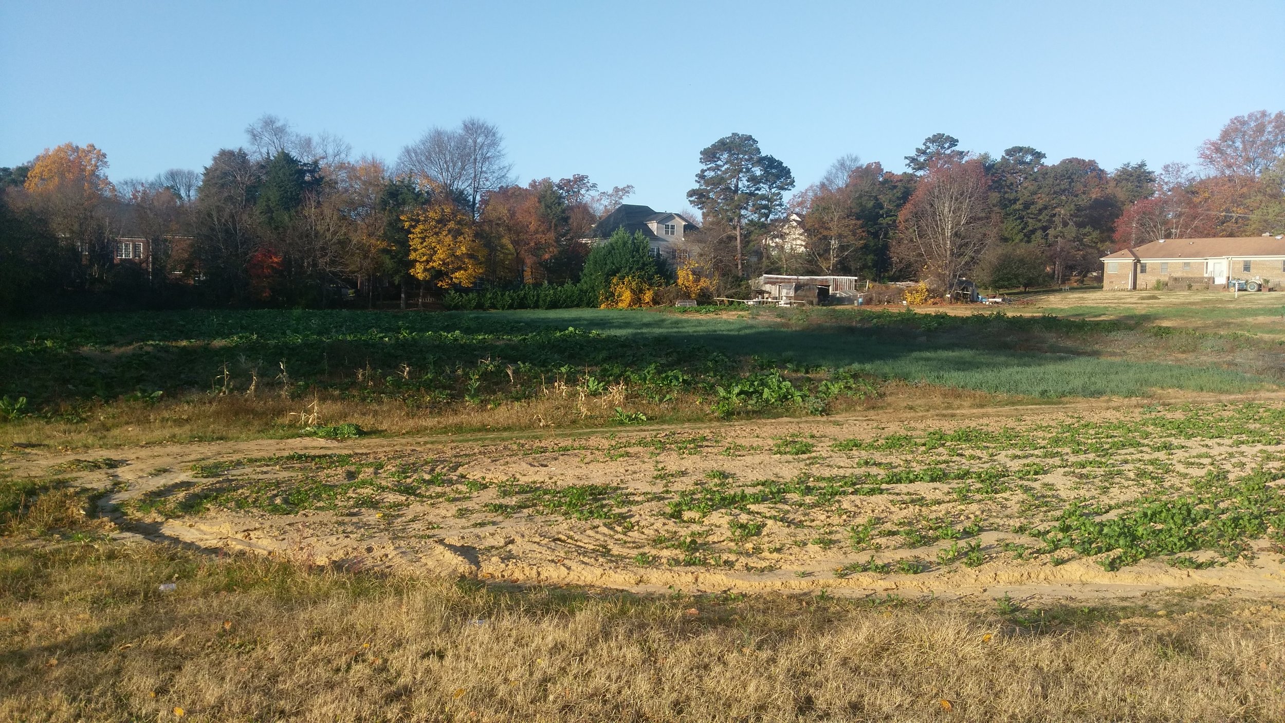 Running by a small farm in the suburbs