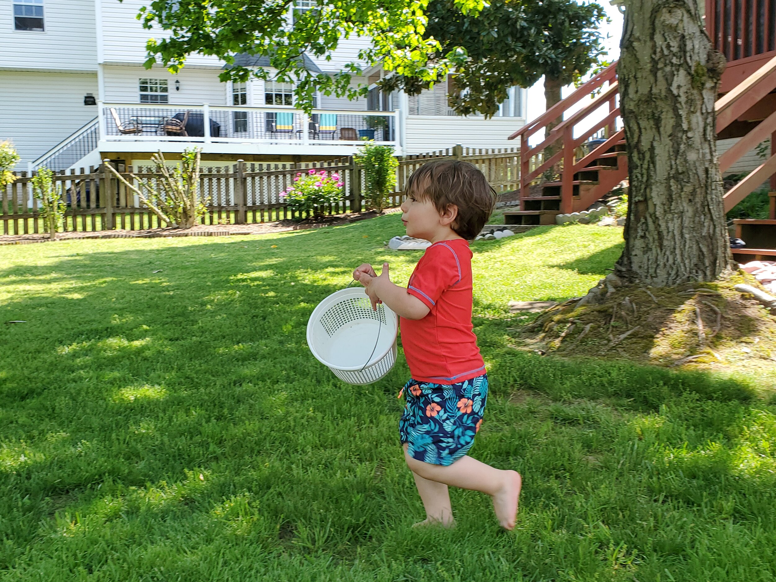 Quentin likes to play with baskets