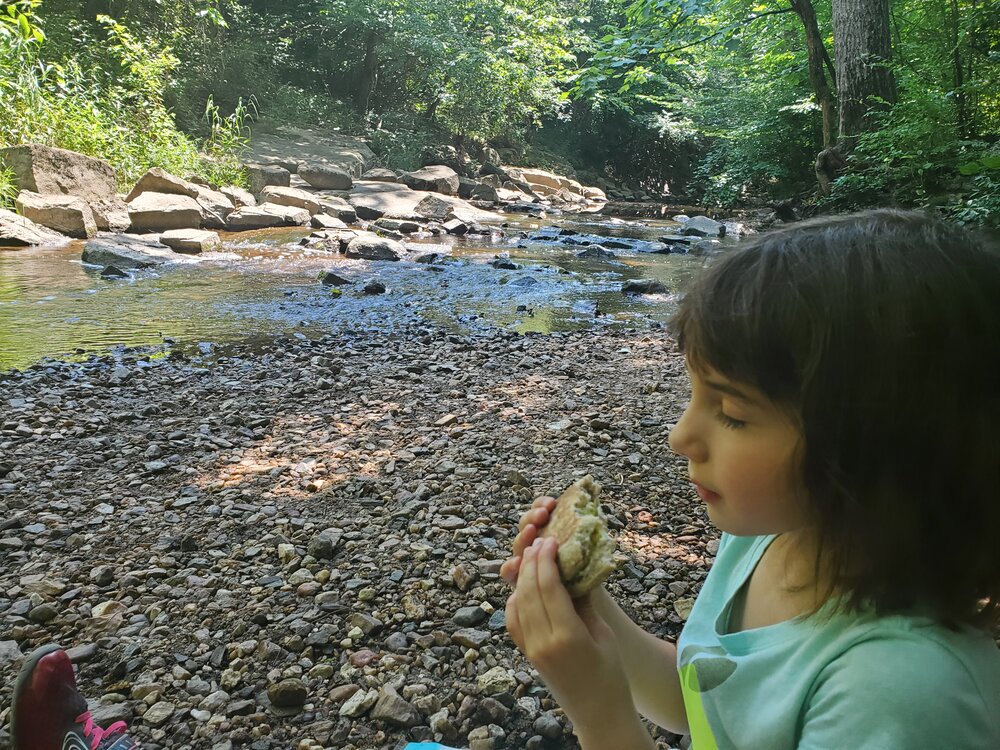 Lunch by the creek