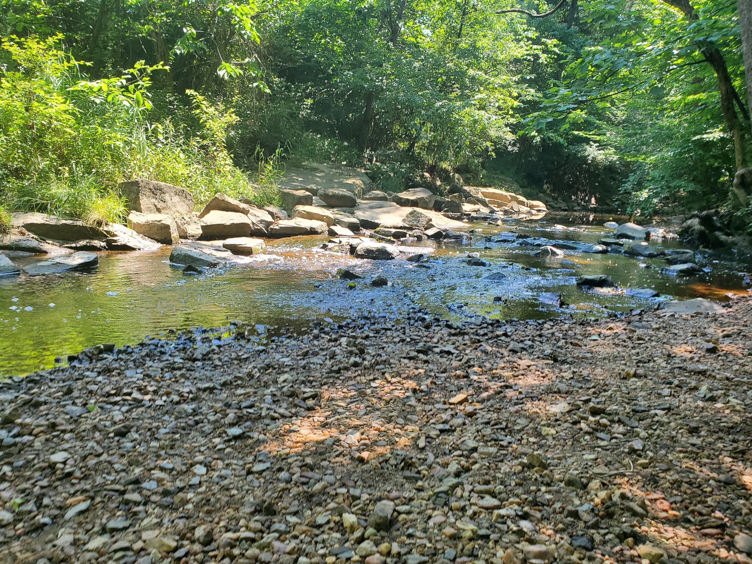 Babbling brook