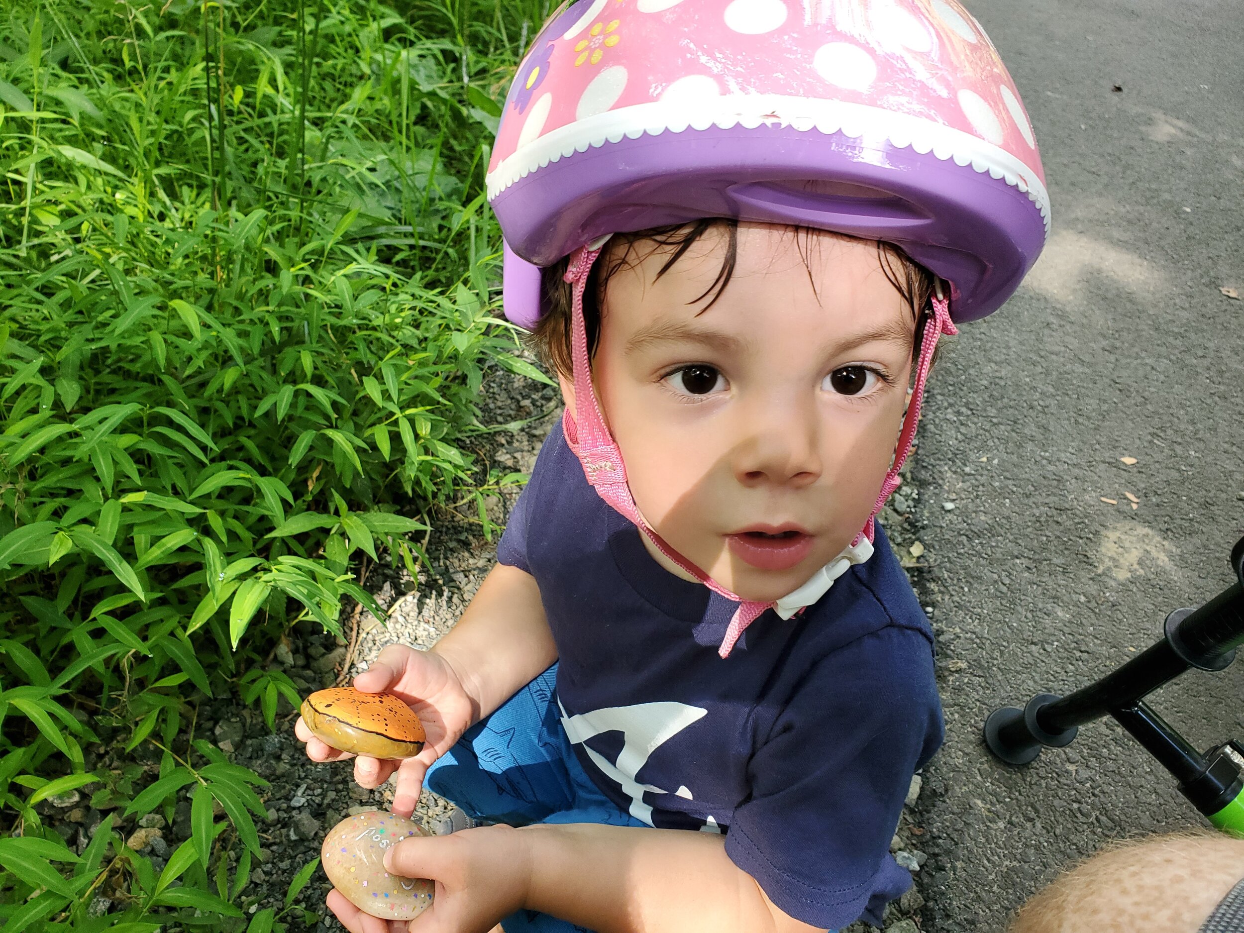 Finding rocks