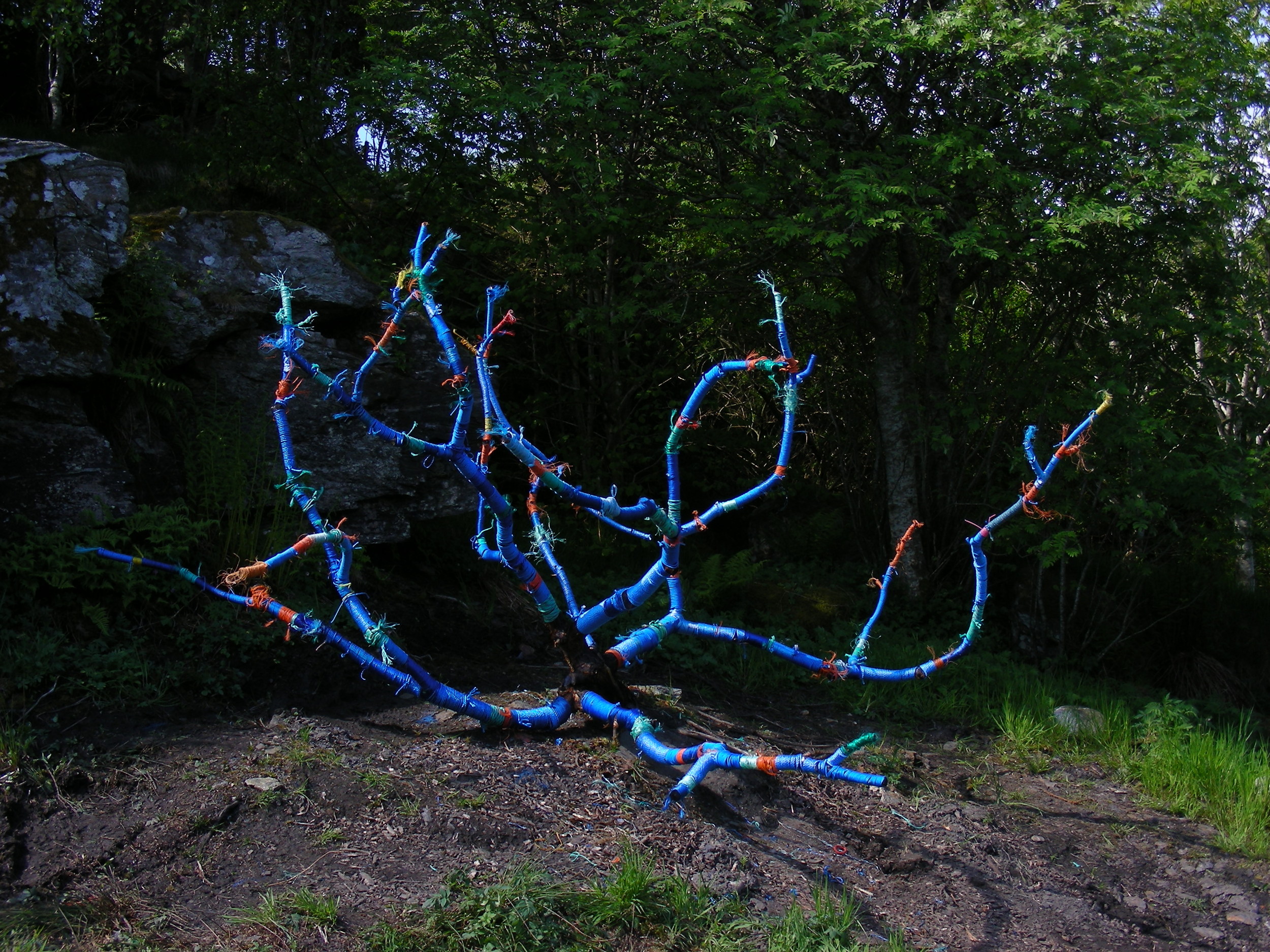 BlueTree04.JPG