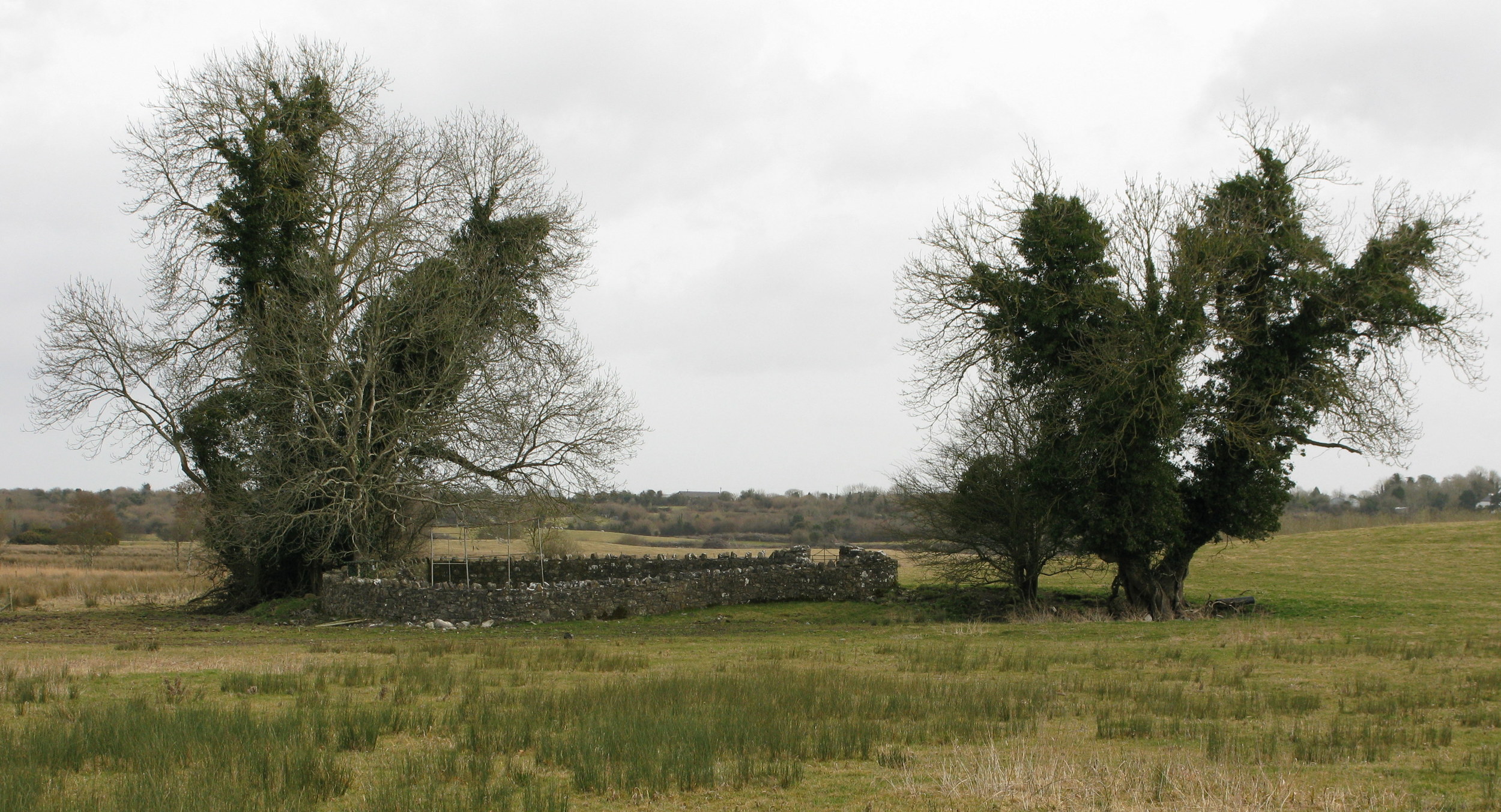 10. St. Johms Well, County Roscommon. Indhegnet på en mark. Næsten udtørret.