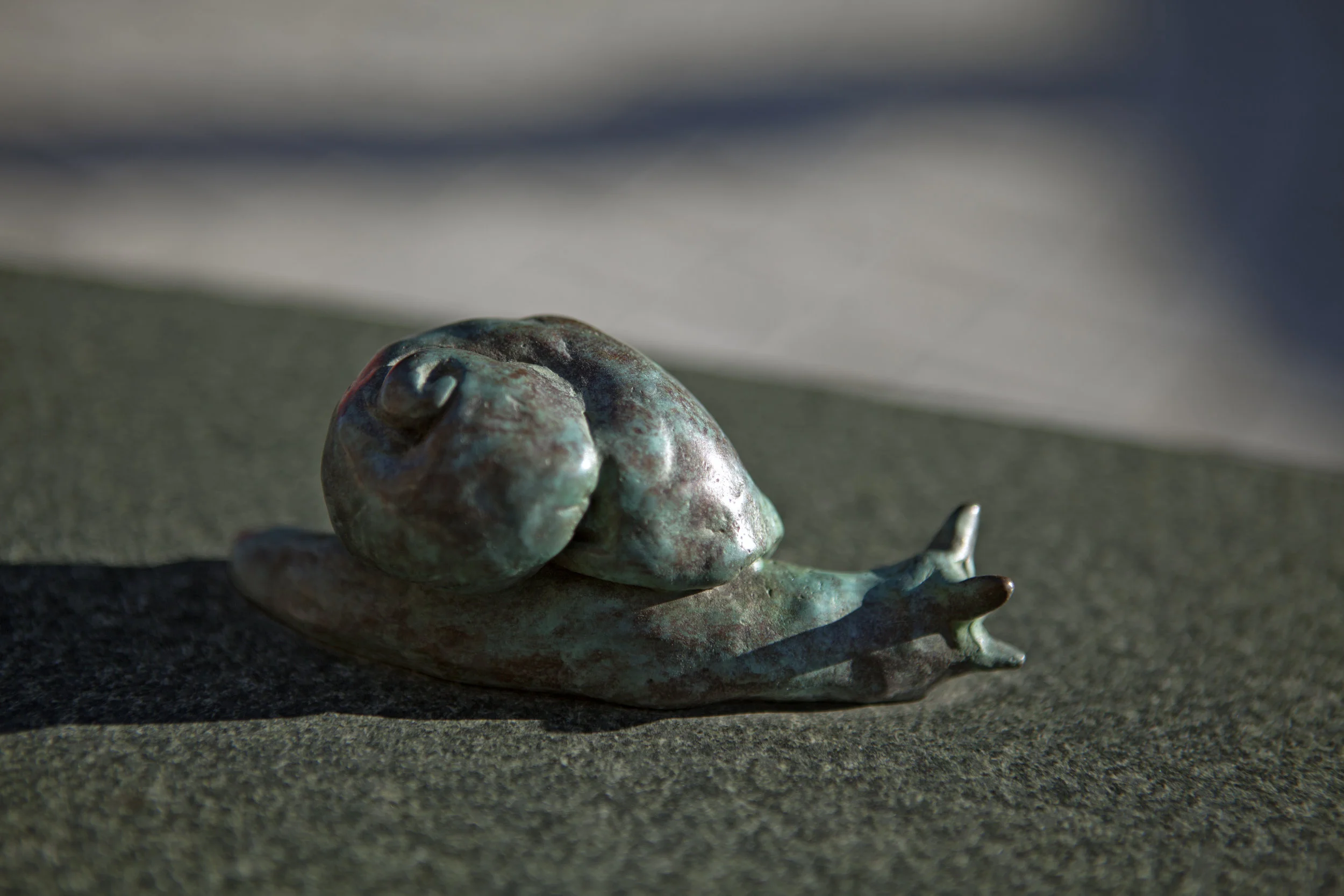 Den grønne bronze-snegl på pilebladet.
