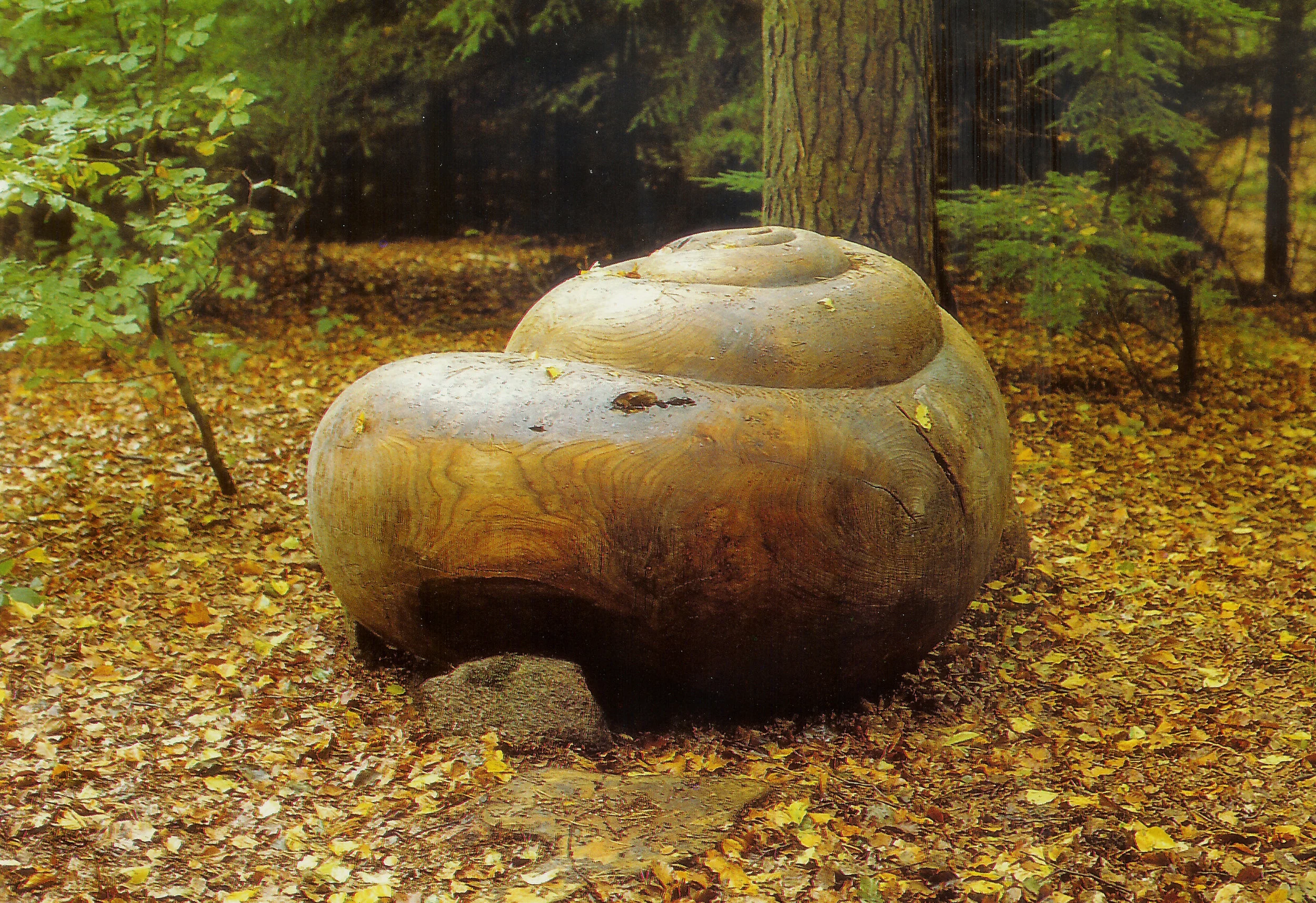 Snail.jpg