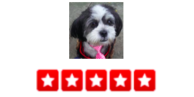 “Dogger is amazing. We have a completely wonderful Shih Tzu, but we used to worry if she is getting enough exercise or playtime or stimulation during the day. No more! Every day, Dogger uses this software program that allows you to see the GPS of where you dog walked. He includes photos and a little summary of what happened that day. Also, you can do credit card payments online so you never have to worry about having cash on hand or any of that nonsense. I've called a few times for last minute service when I couldn't leave work on time, and he's totally come though for me . -Barb S.