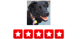 “Just moved to Brooklyn 3 months ago and this was the first dog walker company I found and it has been nothing but fabulous. I am obsessed with the fact that I get updates on when the dog walker has arrived as well as pictures and comments at the end of the walk. Basia has been a complete angel and my puppy is obsessed with her! Any time I have had something come up randomly where I know I will get home later than usual, Basia/ Dogger has been able to take care of my pup whenever I need a little extra help. I highly recommend using Dogger. I am so happy that I found them and I know my dog is always in good hands ! -Emily C.