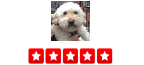 “Last year, my dog suddenly became aggressive toward and terrified of his walkers with the dog walking company we were using. I tried everything, honestly, but they couldn't get him out of my apartment. I finally tried switching companies, and found dogger . They welcomed the challenge with open arms, and now my dog happily goes for walks again every day! I love how I get a detailed email update every time they come walk him. Every walker on their team has been excellent. Ian and Basia have been so helpful to me, especially during illnesses or vacations, when there are sometimes last minute scheduling changes. So glad to have found them ! - Chelsey S.