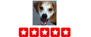“When we first moved to Park Slope, we met with several dog walkers to find the one we thought was the best fit and we chose Dogger. Ian has done a great job with my pup. He uses Petcheck Technology which makes the whole process so easy - he includes a message and pictures and the website allows for easy payments and tracking on our pup's walk. – Nicholas L.
