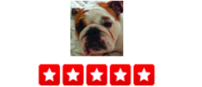 “Dogger has been really helpful with caring for my English Bulldog, not the easiest breed to deal with given their incredible stubborn nature and inability to walk more than 20 feet at a time. I especially like the fact that I get notifications when the walker arrives and leaves using the nifty QR Code they put on my fridge. Super accountable, not like some other services I have used in the past. Ian is a really good guy with a very comfortable way about himself. It makes me feel like there is someone I can really trust in my home and caring for my prized possession. – John L.
