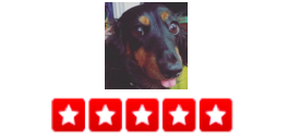 “Dogger has been such a life savor! We have a mini dachshund and she absolutely loves Ian! He is always mindful of her not using stairs or jumping too much, because of her body shape. They are always trying to find news ways to get to our dog before she does business in our apartment and someday we are lucky. I chose this service because of the GPS tracker and options for single dog walks as our dog can be a bit much to look out for. Also, after every walk we get a lovely note and some pictures which is nice proof of walk because i have had friends tell me about how they paid but their dog never got walked (the walker didn't know they had cameras and they looked back and saw they never came sometimes but he was paying). The automatic paying system is also great and they are very mindful of when holidays come up to ensure you still walk that walk. I don't know what we would do without dogger , including our pup. She looks forwarded to her MWF walks along with her bark box! – Natasha R.