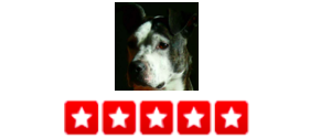 “Dogger is a great choice for your pup walking needs! Ian and his team were great with my pooch and on schedule. They make these details in a dog owners life so much easier. :-) – Ash B.
