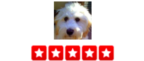 “Very friendly walker. My dogs love him. They are always on time and I've never had a problem with them. My dogs are always well taken care of and come home in a good mood . – Angie C.