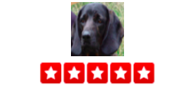 “Best pet sitters in town!! I left my dog by them and I will continue to use their services knowing that my dog is in great hands. -Daniel R.