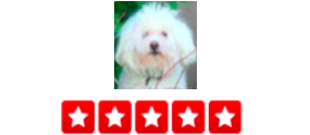 “I recently had a major change in schedule which meant that I was no longer able to work from home and take care of my two beautiful doggies. I reached out to a number of the local Slope dog walkers and found that either they were way over booked or simply not professional sounding. Thank goodness for Ian and his team at dogger ! Ian came over for my meet & greet and immediately put me at ease and made fast friends with my dogs. The business is new to the scene but I immediately felt at ease and in great hands. Also, they have a cool GPS tracking thing which sends emails, maps, and lets you know when the dog walker shows up, where they go to play, and when they get back. Thanks dogger and here's to many more walks ! – Mia T.