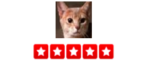 “My partner and I frequently travel out of the country for work. We've been using Dogger to sit our three abyssinians . They've been accommodating with very short notice and flexible with our sometimes open ended return date. We love the updates and pictures. I really feel that they are giving time and attention to our babies. Couldn't be happier . – Lion G.