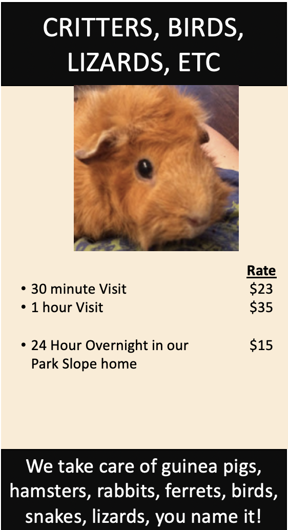 Screen Shot 2019-04-01 at 12.07.22 PM.png