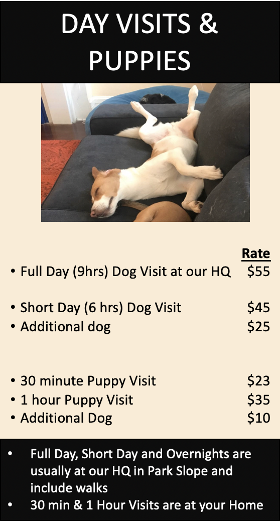 Screen Shot 2019-04-01 at 12.09.49 PM.png