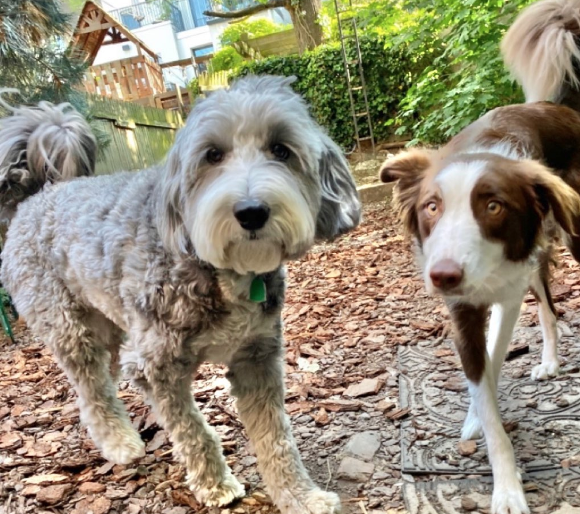 Screen Shot 2021-06-06 at 12.46.58 PM.png