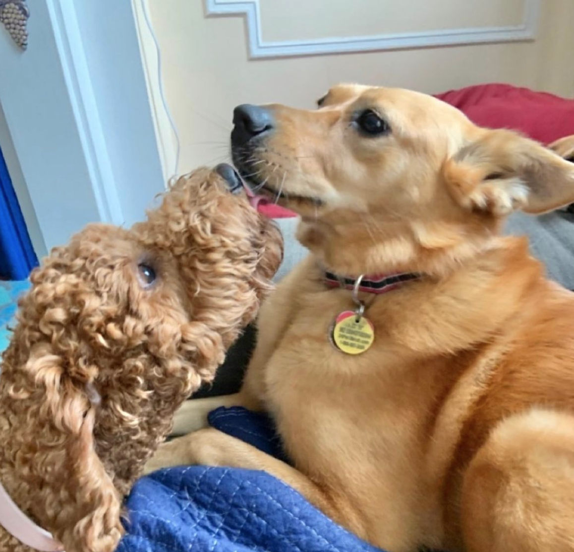 Screen Shot 2021-08-08 at 5.41.07 PM.png