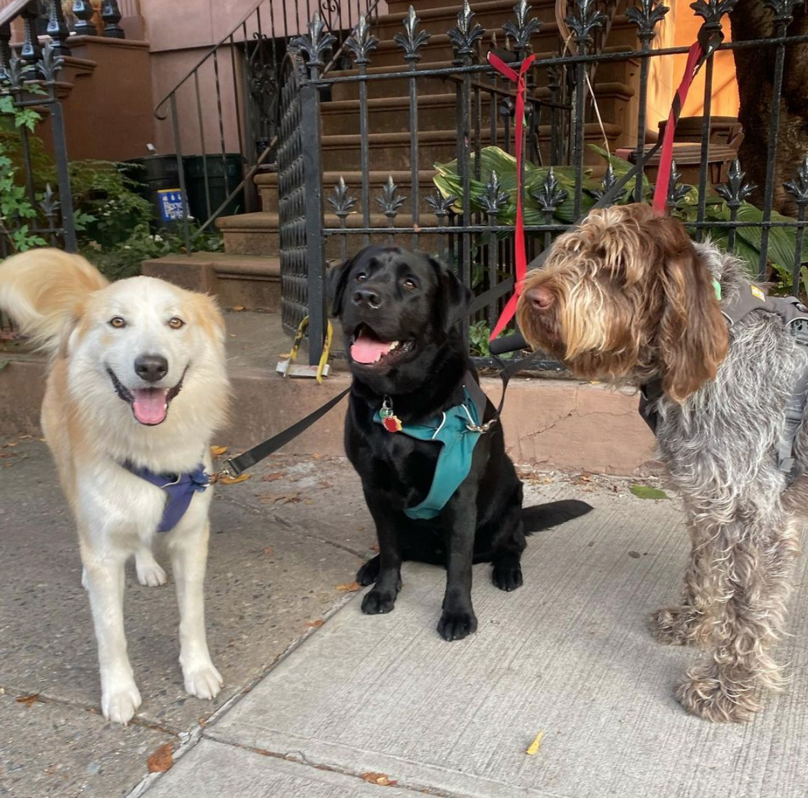 Screen Shot 2021-10-10 at 3.49.34 PM.png