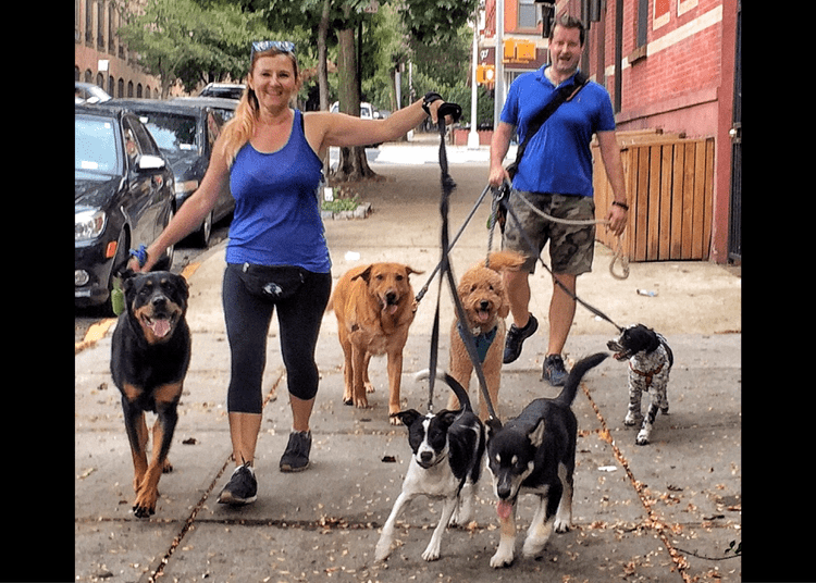 dog walkers