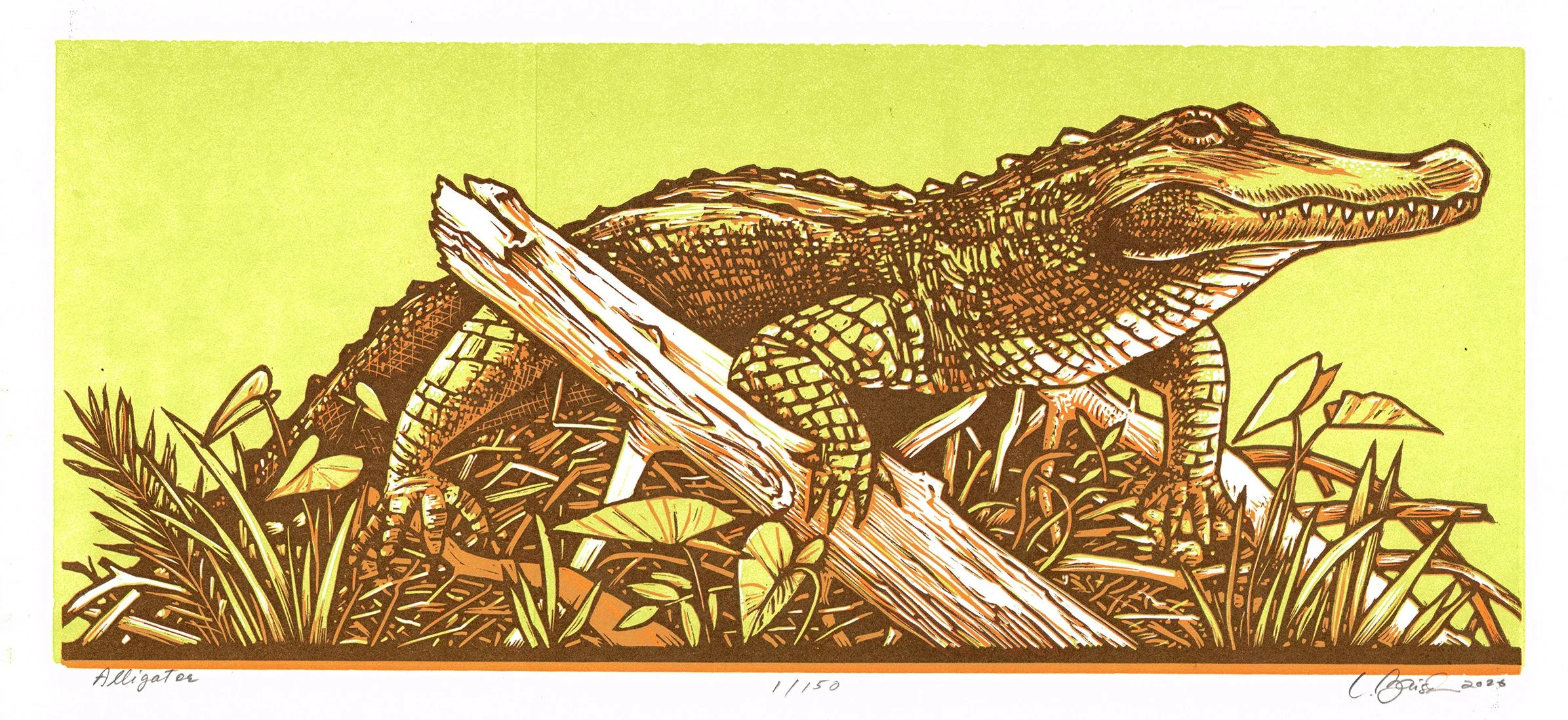 alligator print.jpg
