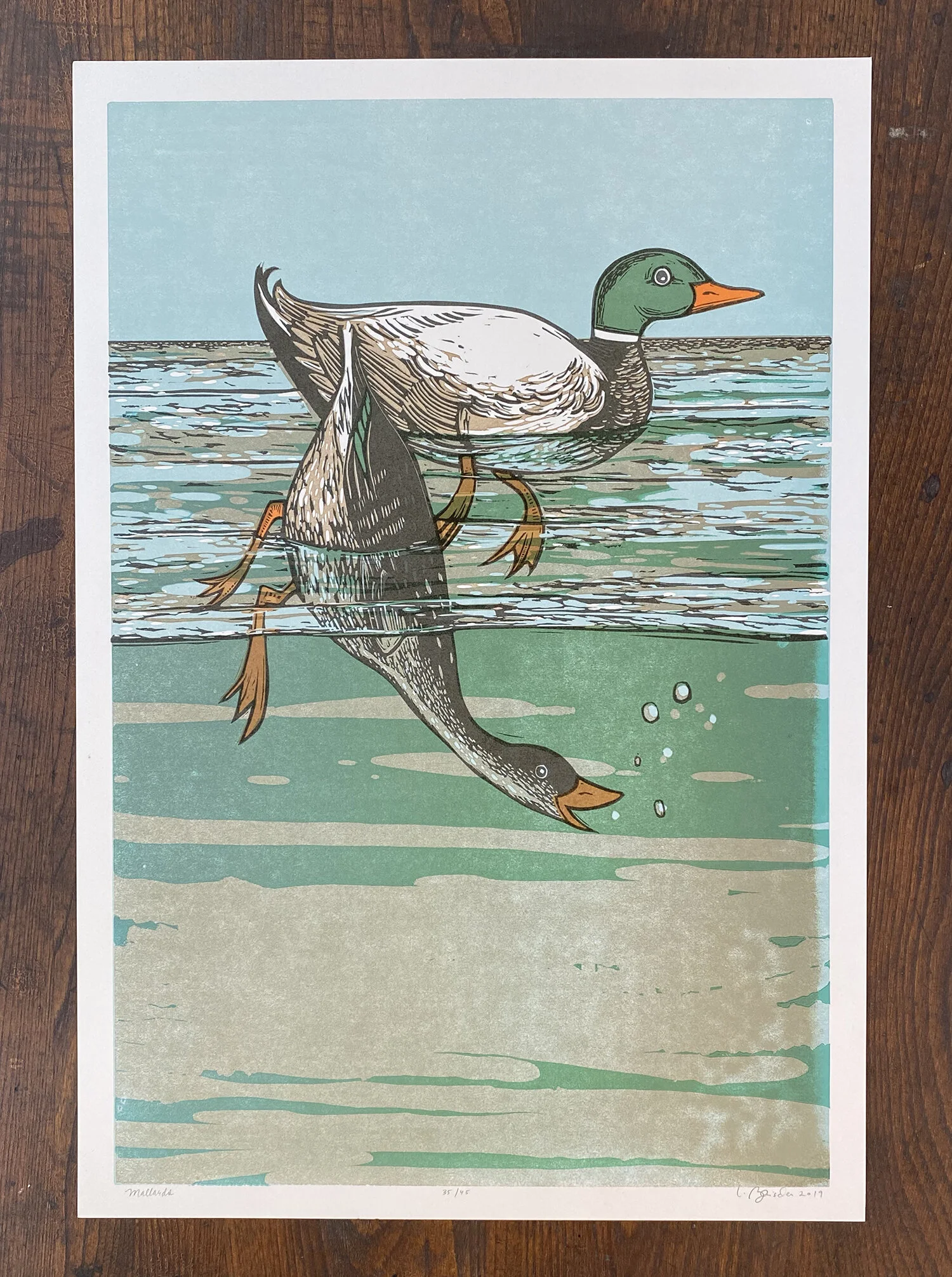 MallardsWeb.jpg