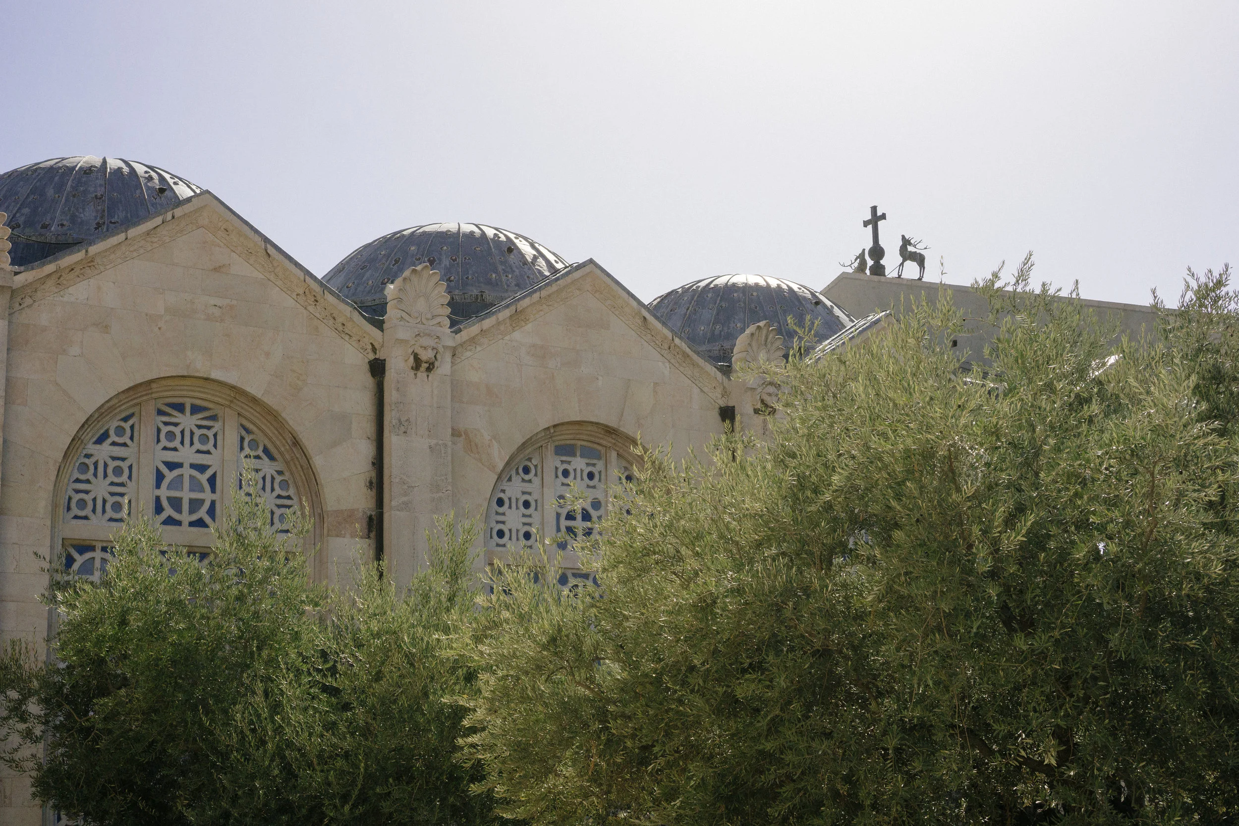 Garden of Gethsemane