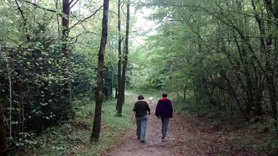 14485048_1219509488121981_8987417412987239069_n.jpg
