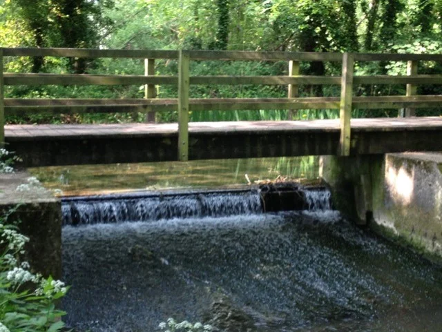 bridge.jpg