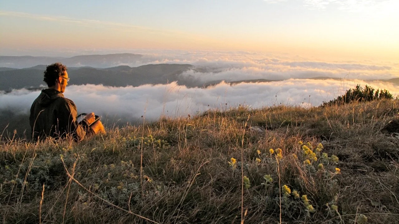 Anger, and the Roar of the Wild Writer