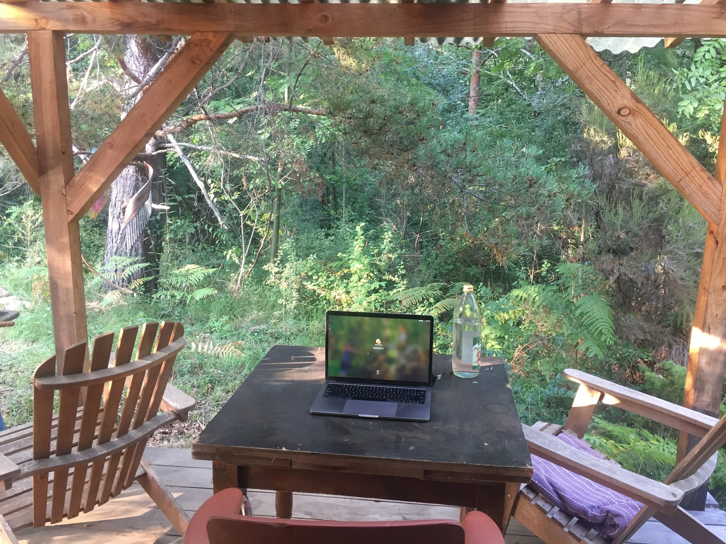 Summer Focus, and Punctuation