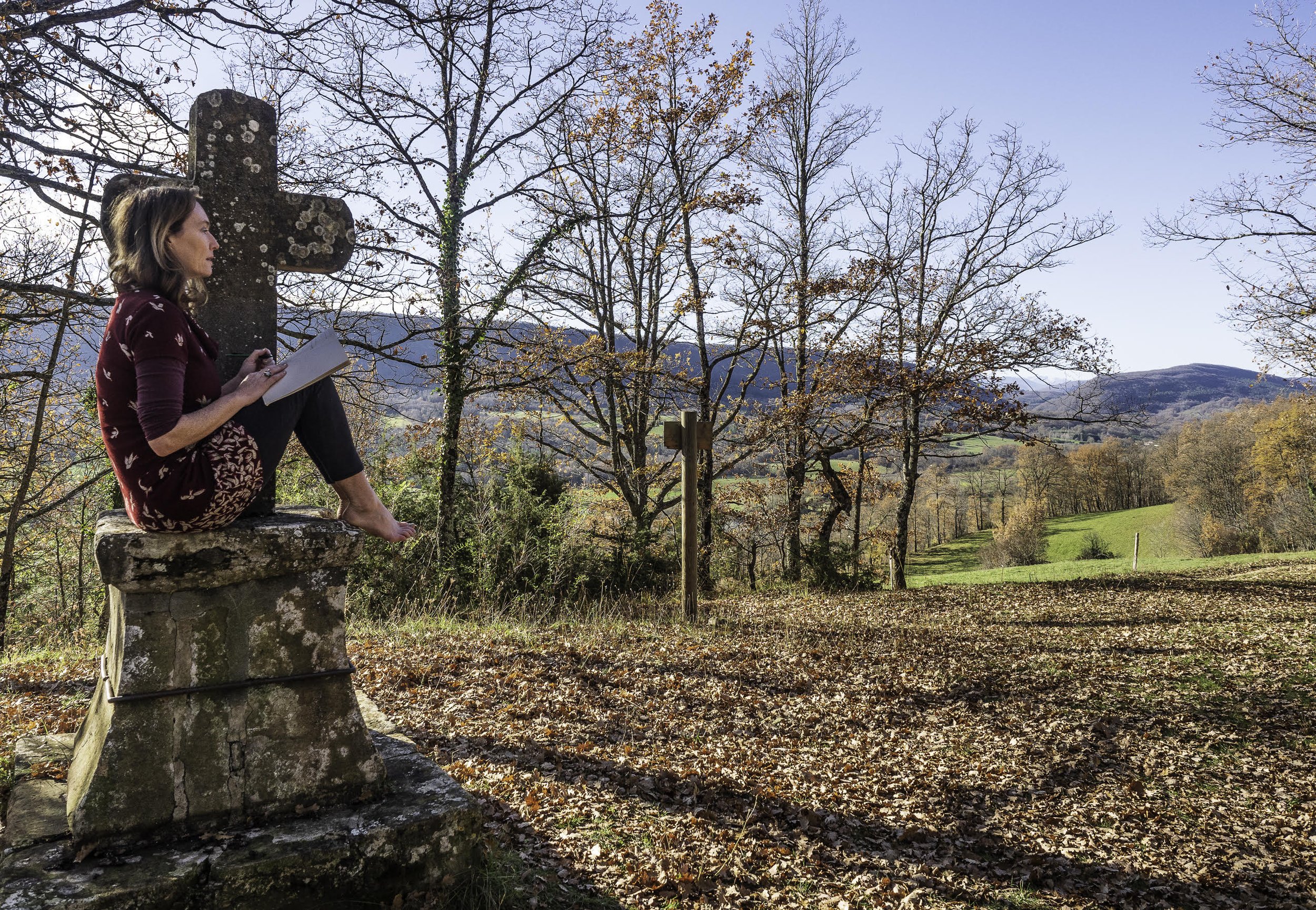 Sacred Writing and Poetry Appreciation Workshop - Online