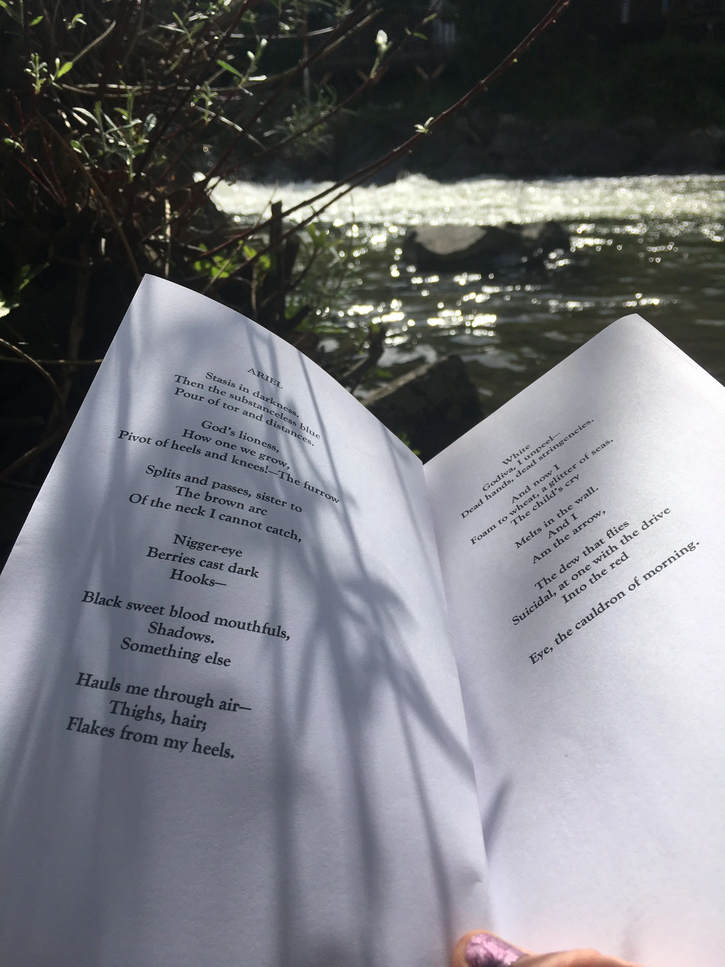 Poetry Lover in the Wilds: Ariel by Sylvia Plath 