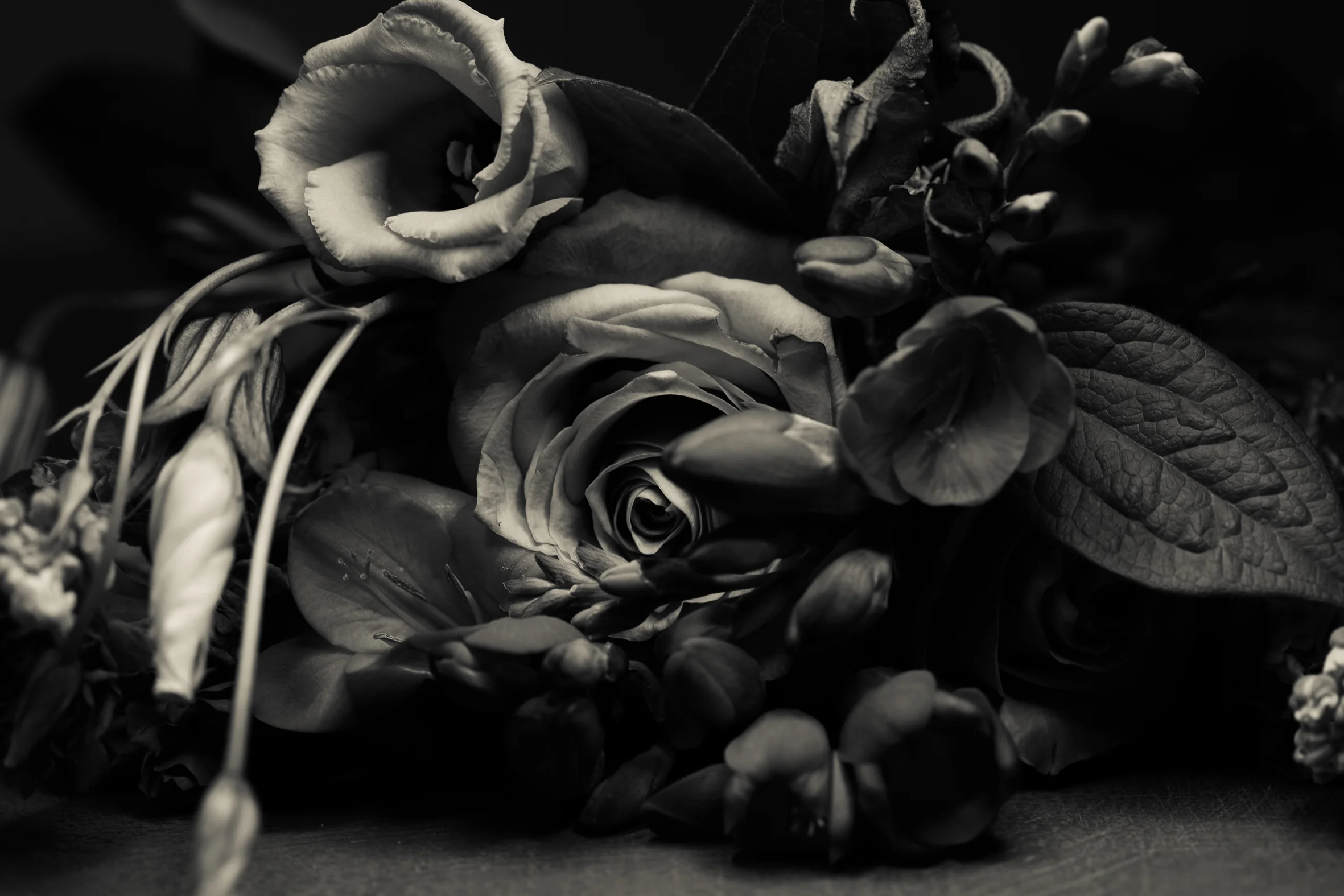 black n white roses.jpg